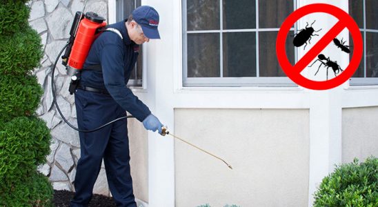 Yayladağı Tahtakurusu İlaçlama böcek ilaçlama ve haşere kontrolü — ilaclama-tr.com